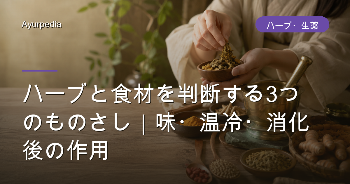 ハーブと食材を判断する3つのものさし｜味・温冷・消化後の作用